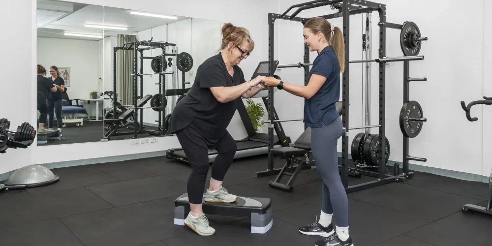 Step Up Exercise